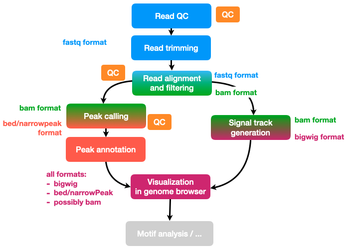 ChIP workflow